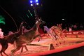 Krone2011   135